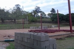 33