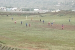 KwaXimbaDevDaySoccerFieldCows191111